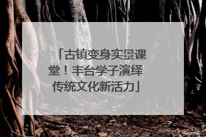 古镇变身实景课堂！丰台学子演绎传统文化新活力