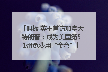 叫板 英王首访加拿大 特朗普：成为美国第51州免费用“金穹”