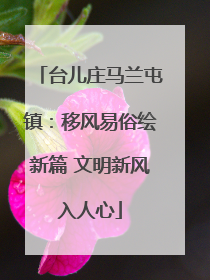 台儿庄马兰屯镇：移风易俗绘新篇 文明新风入人心