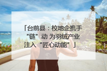 台前县：校地企携手“链”动 为羽绒产业注入“匠心动能”