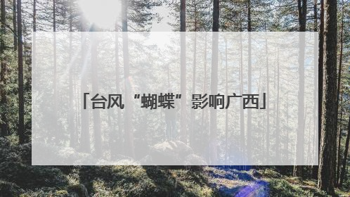 台风“蝴蝶”影响广西