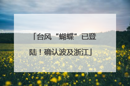 台风“蝴蝶”已登陆！确认波及浙江
