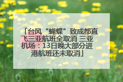 台风“蝴蝶”致成都直飞三亚航班全取消 三亚机场：13日晚大部分进港航班还未取消