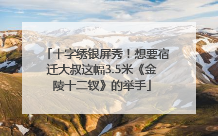 十字绣银屏秀！想要宿迁大叔这幅3.5米《金陵十二钗》的举手