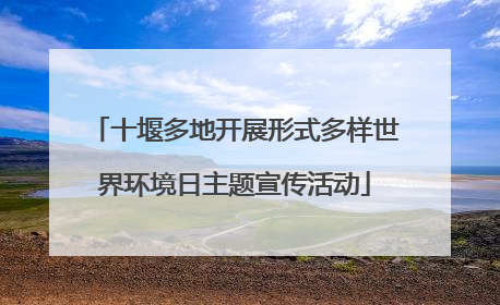 十堰多地开展形式多样世界环境日主题宣传活动