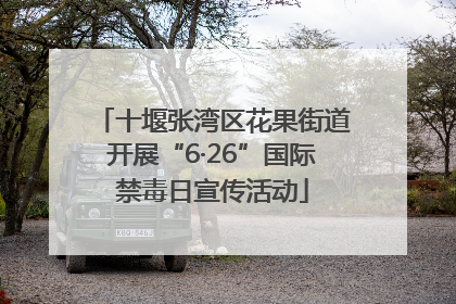 十堰张湾区花果街道开展“6·26”国际禁毒日宣传活动