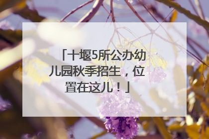 十堰5所公办幼儿园秋季招生，位置在这儿！