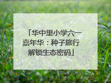 华中里小学六一嘉年华：种子旅行解锁生态密码