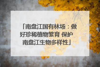 南盘江国有林场：做好珍稀植物繁育 保护南盘江生物多样性