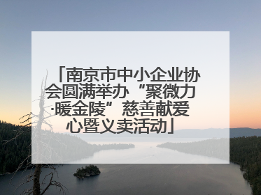 南京市中小企业协会圆满举办“聚微力·暖金陵”慈善献爱心暨义卖活动