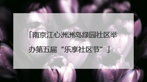 南京江心洲洲岛绿园社区举办第五届“乐享社区节”