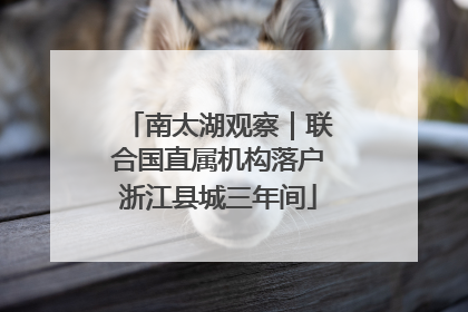 南太湖观察｜联合国直属机构落户浙江县城三年间