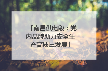 南昌供电段：党内品牌助力安全生产高质量发展