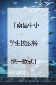 南昌中小学生校服将统一款式