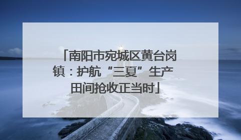 南阳市宛城区黄台岗镇：护航“三夏”生产 田间抢收正当时