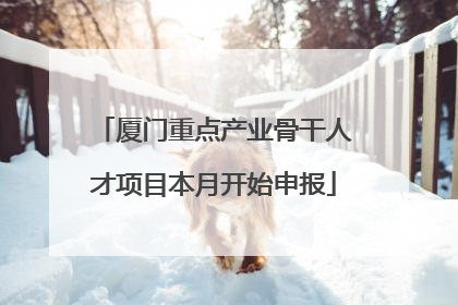 厦门重点产业骨干人才项目本月开始申报