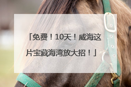 免费！10天！威海这片宝藏海湾放大招！