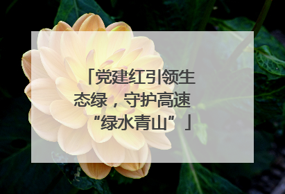 党建红引领生态绿，守护高速“绿水青山”