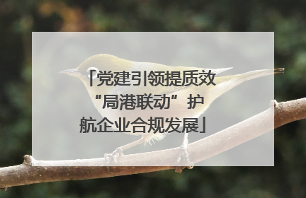 党建引领提质效 “局港联动”护航企业合规发展