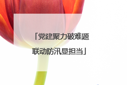 党建聚力破难题 联动防汛显担当