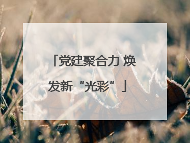 党建聚合力 焕发新“光彩”