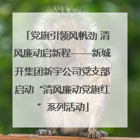 党旗引领风帆劲 清风廉动启新程——新城开集团新宇公司党支部启动“清风廉动党旗红”系列活动