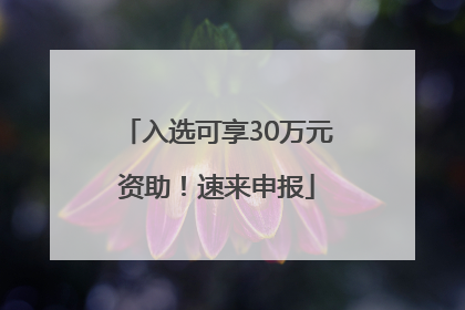 入选可享30万元资助！速来申报