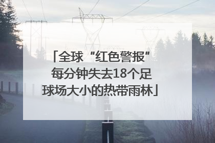 全球“红色警报”  每分钟失去18个足球场大小的热带雨林