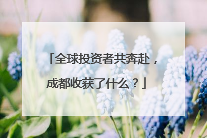 全球投资者共奔赴，成都收获了什么？