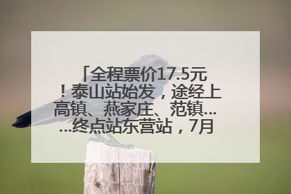 全程票价17.5元！泰山站始发，途经上高镇、燕家庄、范镇……终点站东营站，7月1日开通！