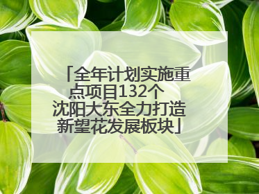 全年计划实施重点项目132个 沈阳大东全力打造新望花发展板块