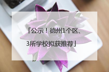公示！德州1个区、3所学校拟获推荐