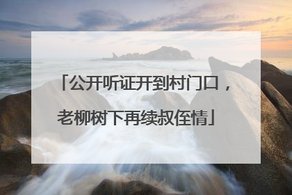 公开听证开到村门口，老柳树下再续叔侄情