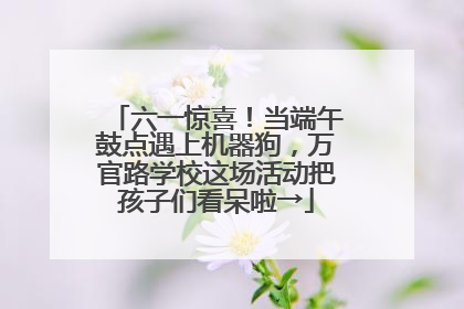 六一惊喜！当端午鼓点遇上机器狗，万官路学校这场活动把孩子们看呆啦→