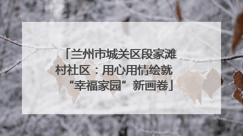兰州市城关区段家滩村社区：用心用情绘就“幸福家园”新画卷