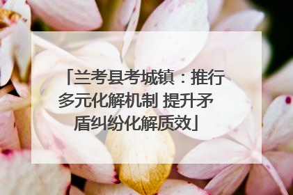 兰考县考城镇：推行多元化解机制 提升矛盾纠纷化解质效