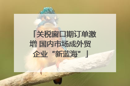 关税窗口期订单激增 国内市场成外贸企业“新蓝海”