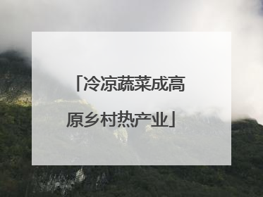 冷凉蔬菜成高原乡村热产业