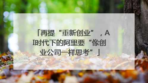 再提“重新创业”，AI时代下的阿里要“像创业公司一样思考”