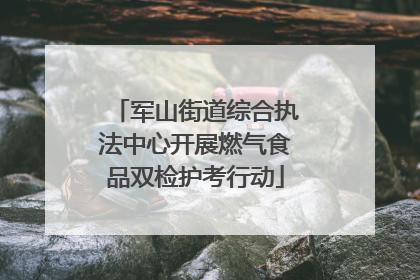 军山街道综合执法中心开展燃气食品双检护考行动