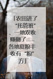 农田进了“托管班”、一地双收赚翻了……各地夏粮丰收有“粮”方
