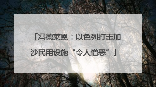 冯德莱恩：以色列打击加沙民用设施“令人憎恶”