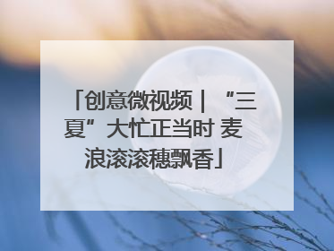 创意微视频｜“三夏”大忙正当时 麦浪滚滚穗飘香