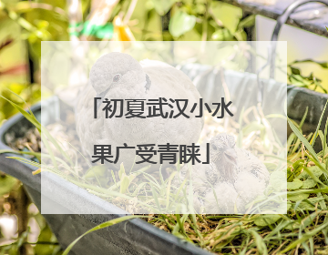 初夏武汉小水果广受青睐