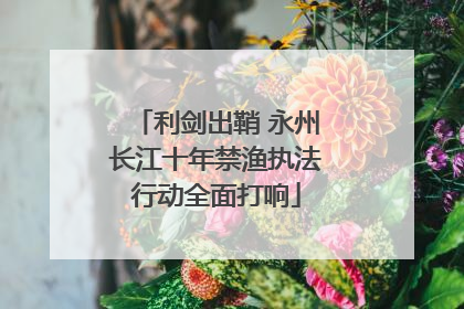 利剑出鞘 永州长江十年禁渔执法行动全面打响