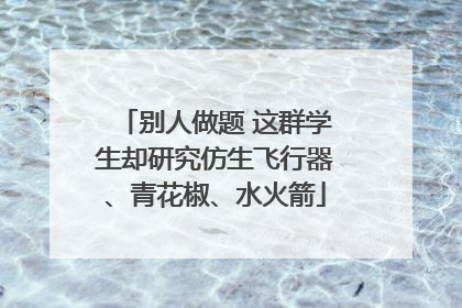 别人做题 这群学生却研究仿生飞行器、青花椒、水火箭