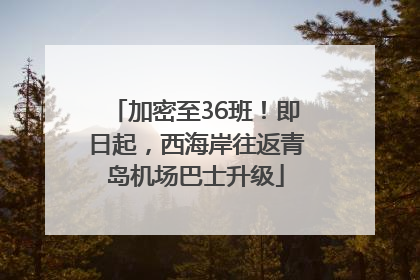 加密至36班！即日起，西海岸往返青岛机场巴士升级
