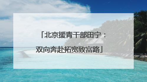 北京援青干部田宁：双向奔赴拓宽致富路
