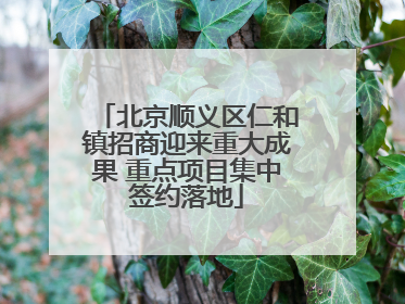 北京顺义区仁和镇招商迎来重大成果 重点项目集中签约落地