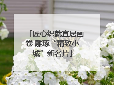 匠心织就宜居画卷 雕琢“精致小城”新名片
